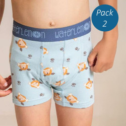 Boxer infantil estampado...